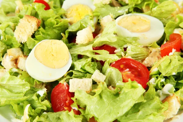 Caesar salaatti valkoisella lautasella, lähikuva — kuvapankkivalokuva