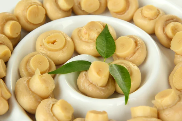 Mushrooms in bowl, close up — Stock Photo, Image