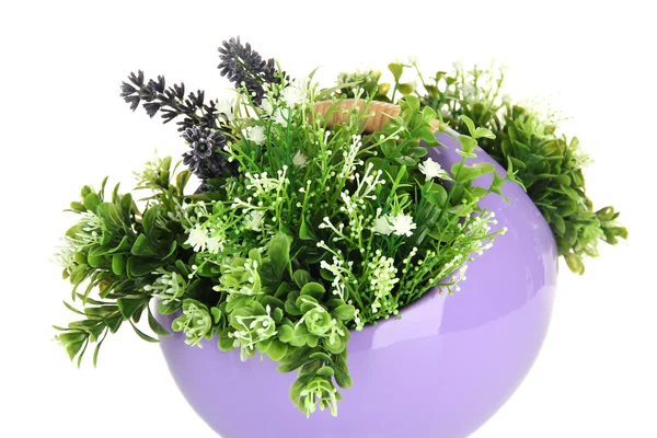 Pot met bloemen geïsoleerd op wit — Stockfoto