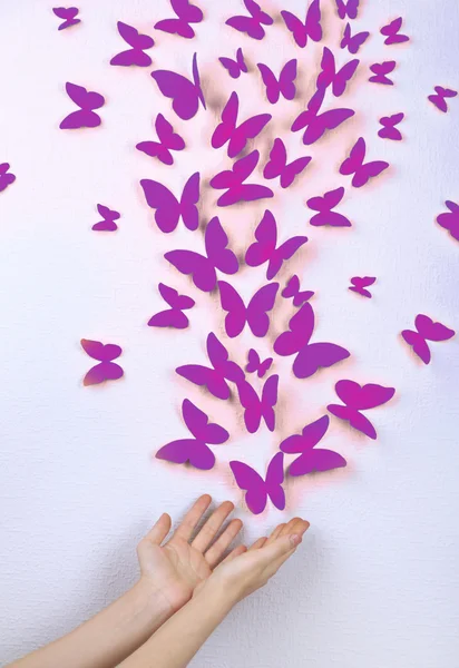 Papírové motýly moucha na zdi v různých směrech — Stock fotografie