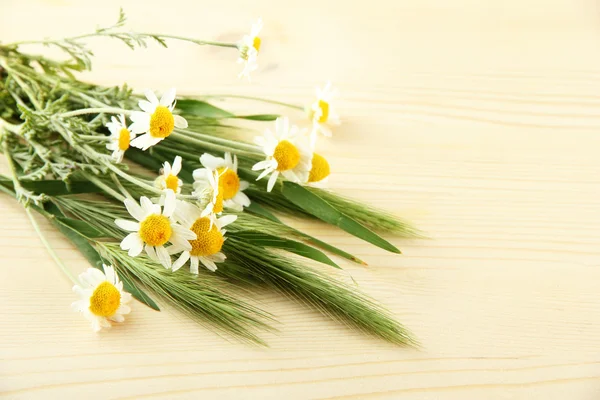 Green spikelets and wild camomiles, on wooden background — Stock Photo, Image