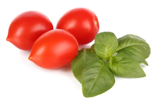 Tomate et basilic isolés sur blanc — Photo