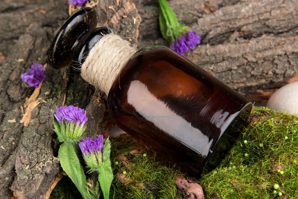 Bottle with basics oil on tree bark and stones close up — Stock Photo, Image