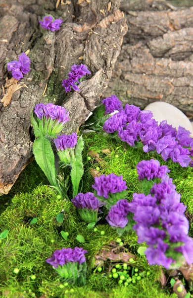 Blommor, träd bark och mossa i skogen på nära håll — Stockfoto