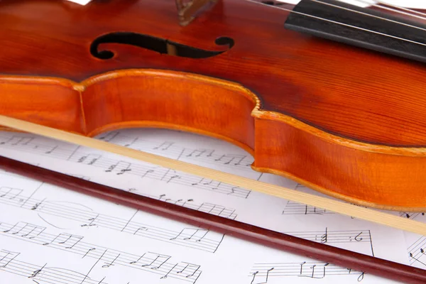 Megállapítja a klasszikus hegedű — Stock Fotó