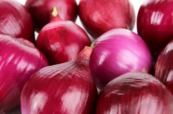 Purple onion close-up — Stock Photo, Image