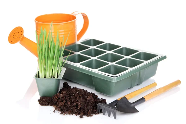 Caja de semillas para plántulas aisladas en blanco — Foto de Stock