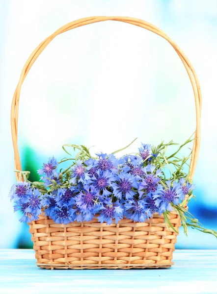 Schöner Strauß Kornblumen im Korb auf blauem Hintergrund — Stockfoto