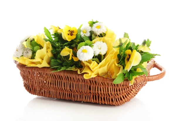 Beautiful spring flowers in basket isolated on white — Stock Photo, Image