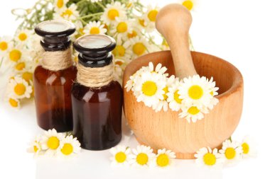 esans ve harç papatya çiçekleri kapat