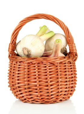 hasır sepet beyaz izole içinde taze sarımsak