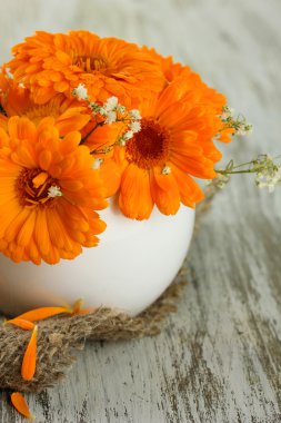 Calendula ahşap zemin üzerinde Vazoda Çiçekler