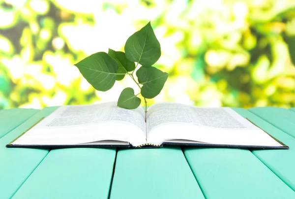 Libro con pianta su tavola su sfondo luminoso — Foto Stock