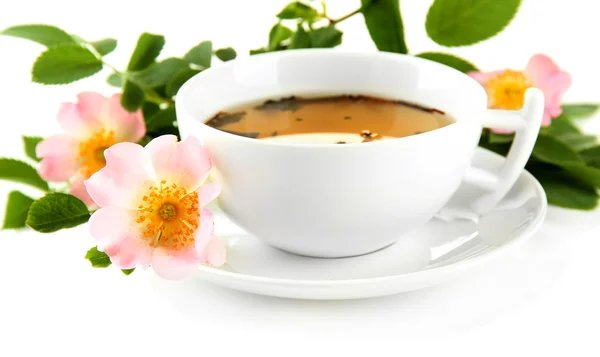 Cup of herbal tea with hip rose flowers, isolated on white — Stock Photo, Image