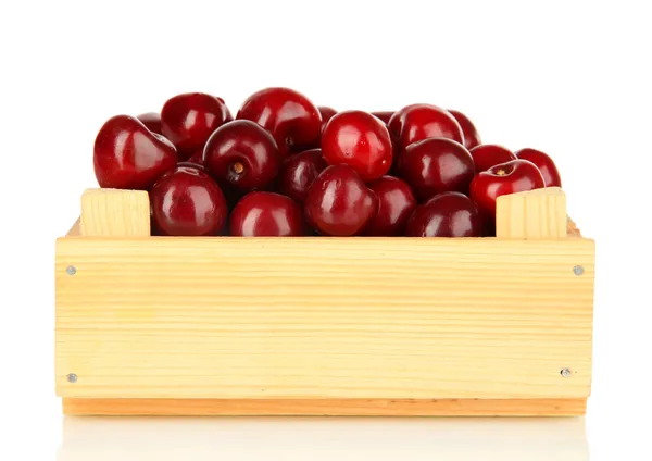 Třešňový plody v dřevěné krabici, izolované na bílém — Stock fotografie