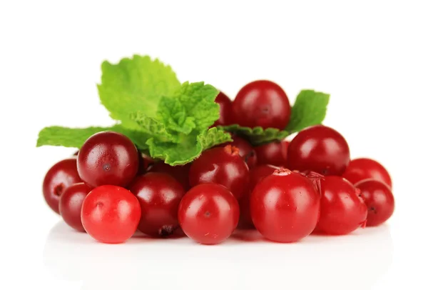 Ripe red cranberries, isolated on whit — Stock Photo, Image