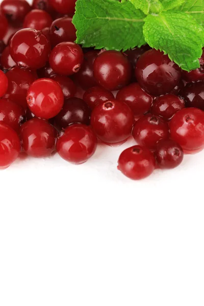 Ripe red cranberries, isolated on whit — Stock Photo, Image