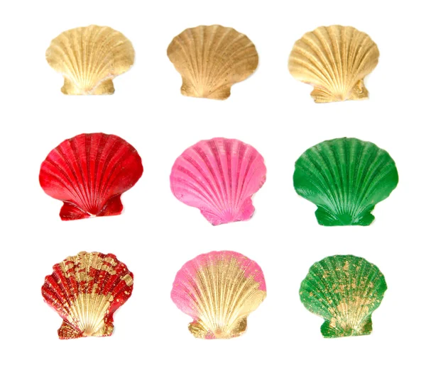 Conchas coloridas, isoladas sobre branco — Fotografia de Stock