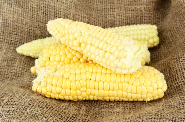 Fresh corn on sackcloth background — Stock Photo, Image