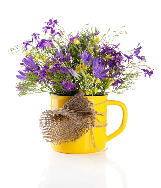 Beautiful bouquet of wildflowers in cup, isolated on white — Stock Photo, Image