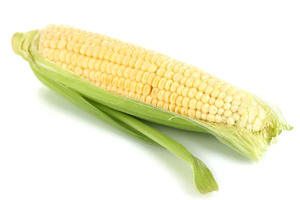 Légumes de maïs frais isolés sur blanc — Photo