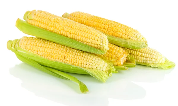 Fehér alapon izolált friss kukorica — Stock Fotó