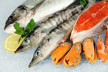 buz üstünde taze deniz ürünleri