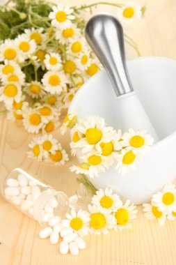 Tıp papatya çiçeği ahşap tablo