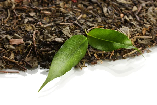 Droge thee met groene bladeren, geïsoleerd op wit — Stockfoto