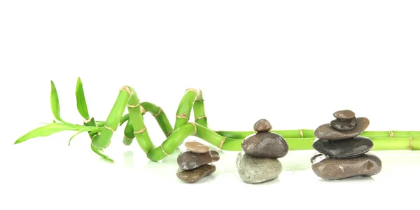 Bodegón con planta de bambú verde y piedras, aislado en blanco — Foto de Stock