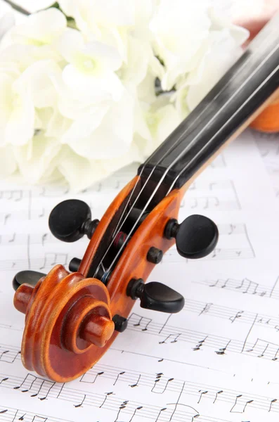 Classical violin with flowers on notes — Stock Photo, Image