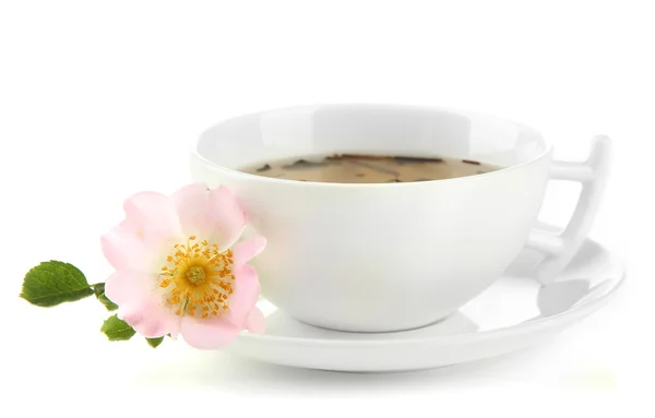 Cup of herbal tea with hip rose flowers, isolated on white — Stock Photo, Image