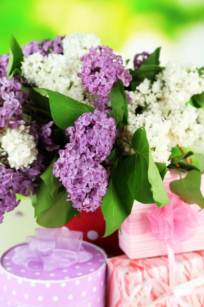 Vackra lila blommor med presenterar, närbild — Stockfoto