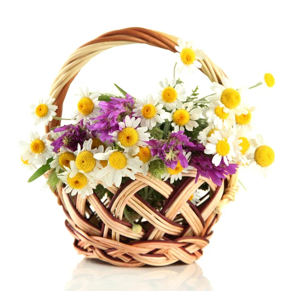 Beautiful wild flowers in basket, isolated on white — Stock Photo, Image