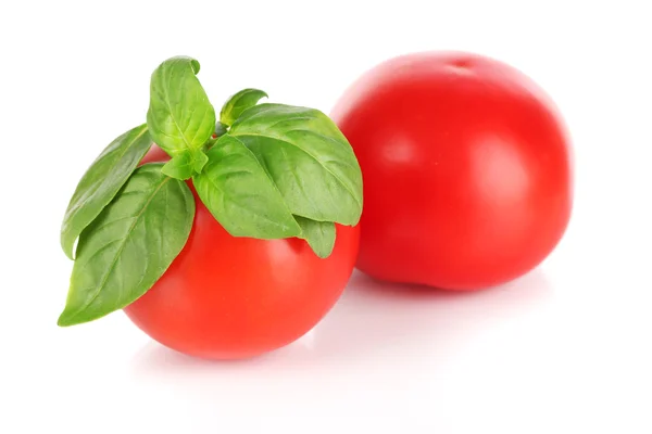 Tomate et basilic isolés sur blanc — Photo