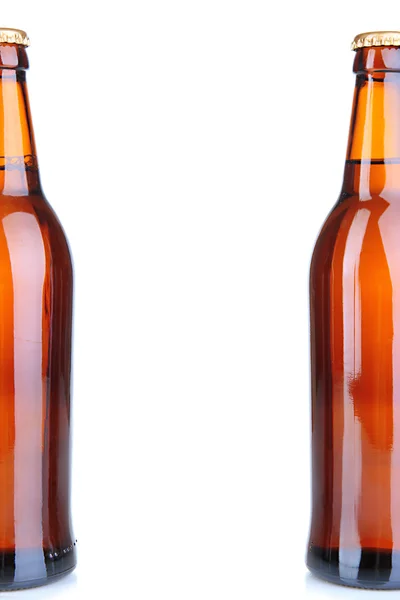 Beer bottles isolated on white — Stock Photo, Image