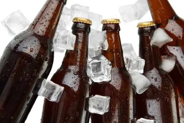 Μπουκάλια μπύρας σε παγάκια από κοντά — Φωτογραφία Αρχείου