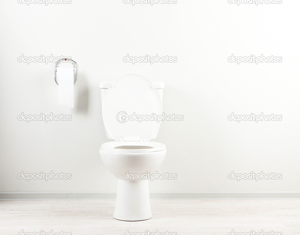 White toilet bowl and toilet paper in a bathroom