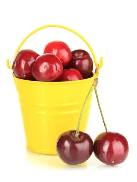 Třešňový plody v kbelíku izolovaných na bílém — Stock fotografie