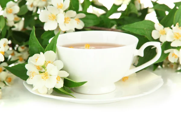Tasse de thé au jasmin, isolée sur blanc — Photo