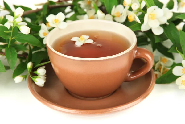 Cup of tea with jasmine, isolated on white — Stock Photo, Image