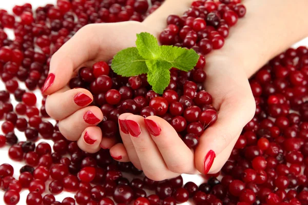 Mãos de mulher segurando cranberries vermelhas maduras, perto u — Fotografia de Stock