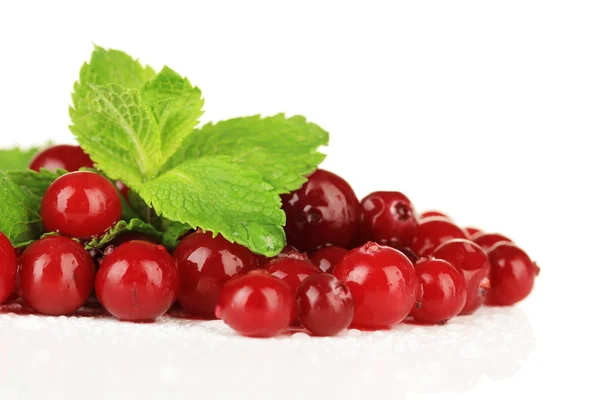 Ripe red cranberries, isolated on whit — Stock Photo, Image