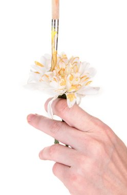 Beyaz holding eller çiçek ve üzerinde beyaz izole renkli boya