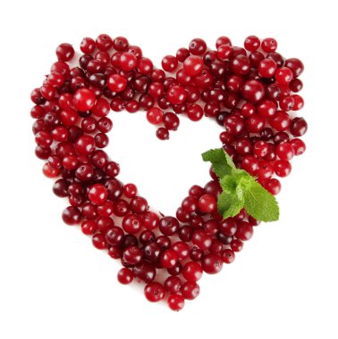 Olgun kırmızı kızılcık, Whit üzerinde izole