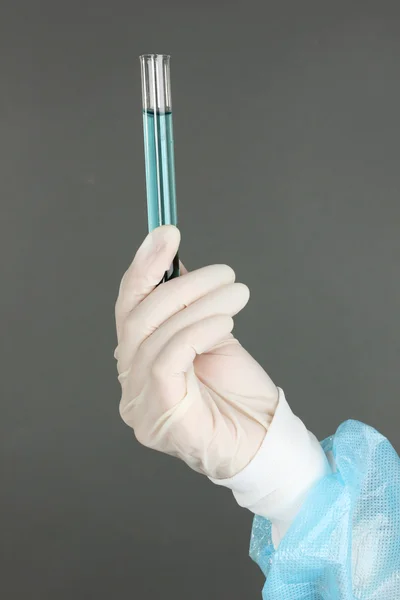 Стеклянная трубка с жидкостью в руке ученого во время медицинских испытаний на сером фоне — стоковое фото