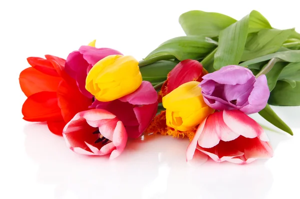 Beautiful tulips in bouquet isolated on white — Stock Photo, Image