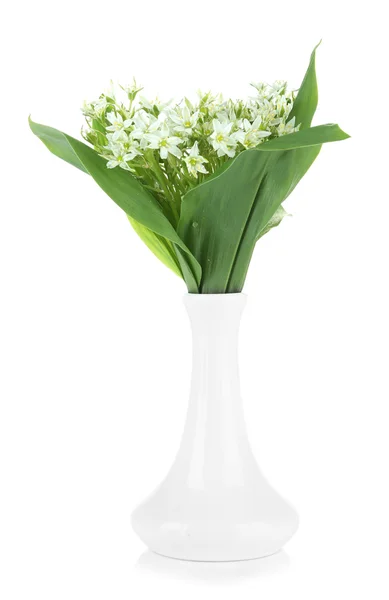 Beautiful mountain daffodils in color vase, isolated on white — Stock Photo, Image