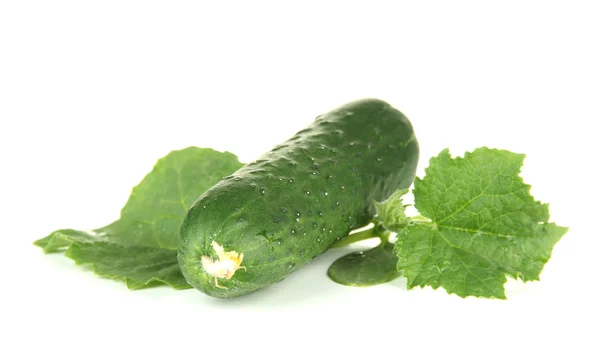 Smakelijke groene komkommers, geïsoleerd op wit — Stockfoto