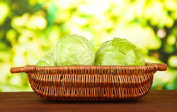 Green cabbage in wicker basket, on bright background